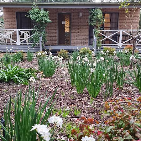 Barossa Country Cottages Lyndoch Eksteriør bilde